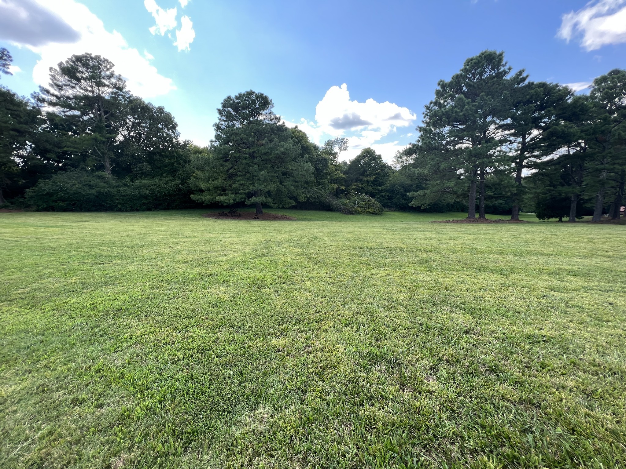 725 Adams Loop Tennessee Ridge, TN 37178 - Photo 19 of 62 Gallery Image 19