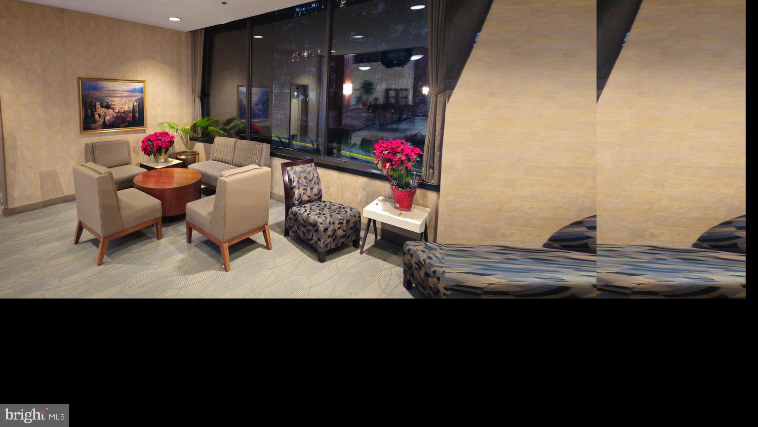 5501 Seminary Road, Unit 2502S Falls Church, VA 22041 - Photo 21 of 32 a living room with furniture and flowers