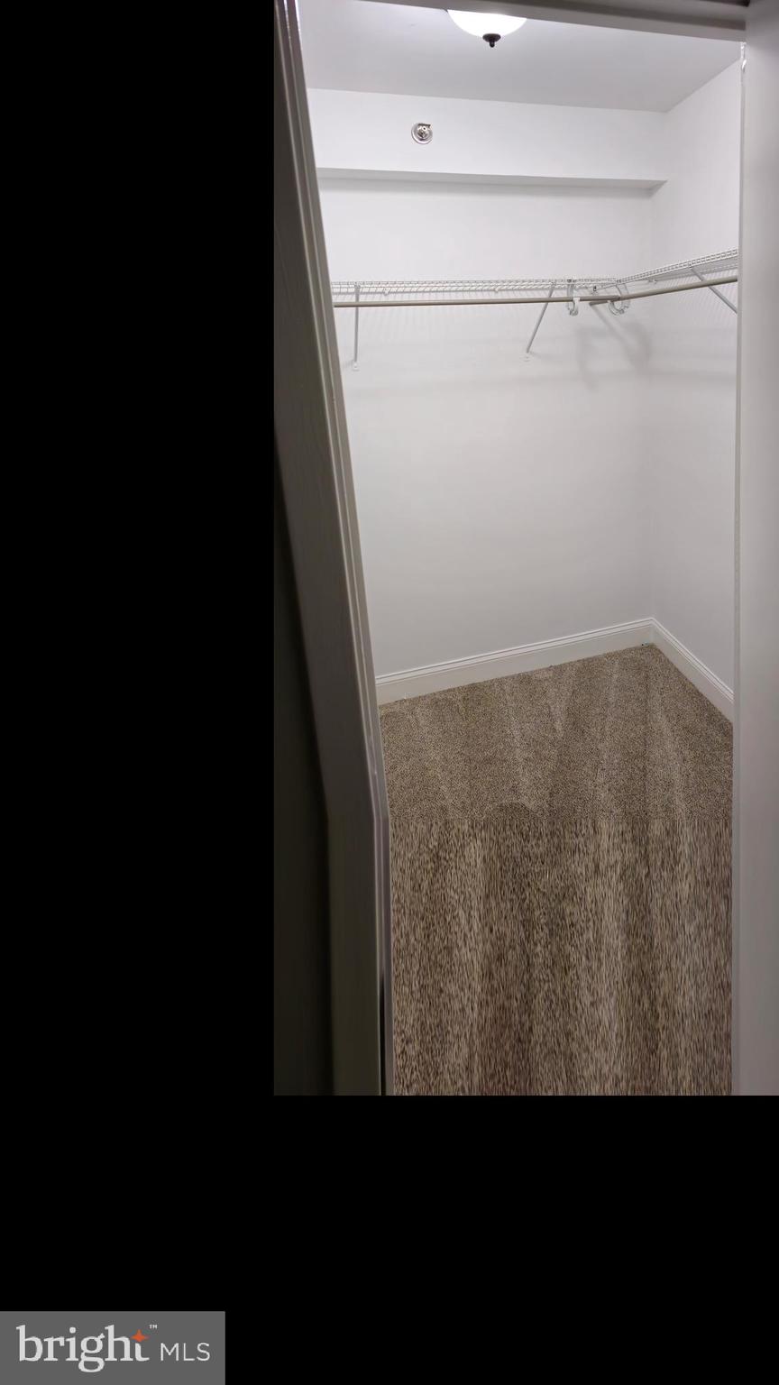 5501 Seminary Road, Unit 2502S Falls Church, VA 22041 - Photo 32 of 32 a view of walk in closet