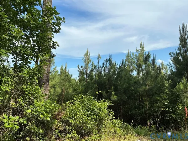 $388,000 | 0 Fortune (48 Acres) Drive, Milford, VA 22514