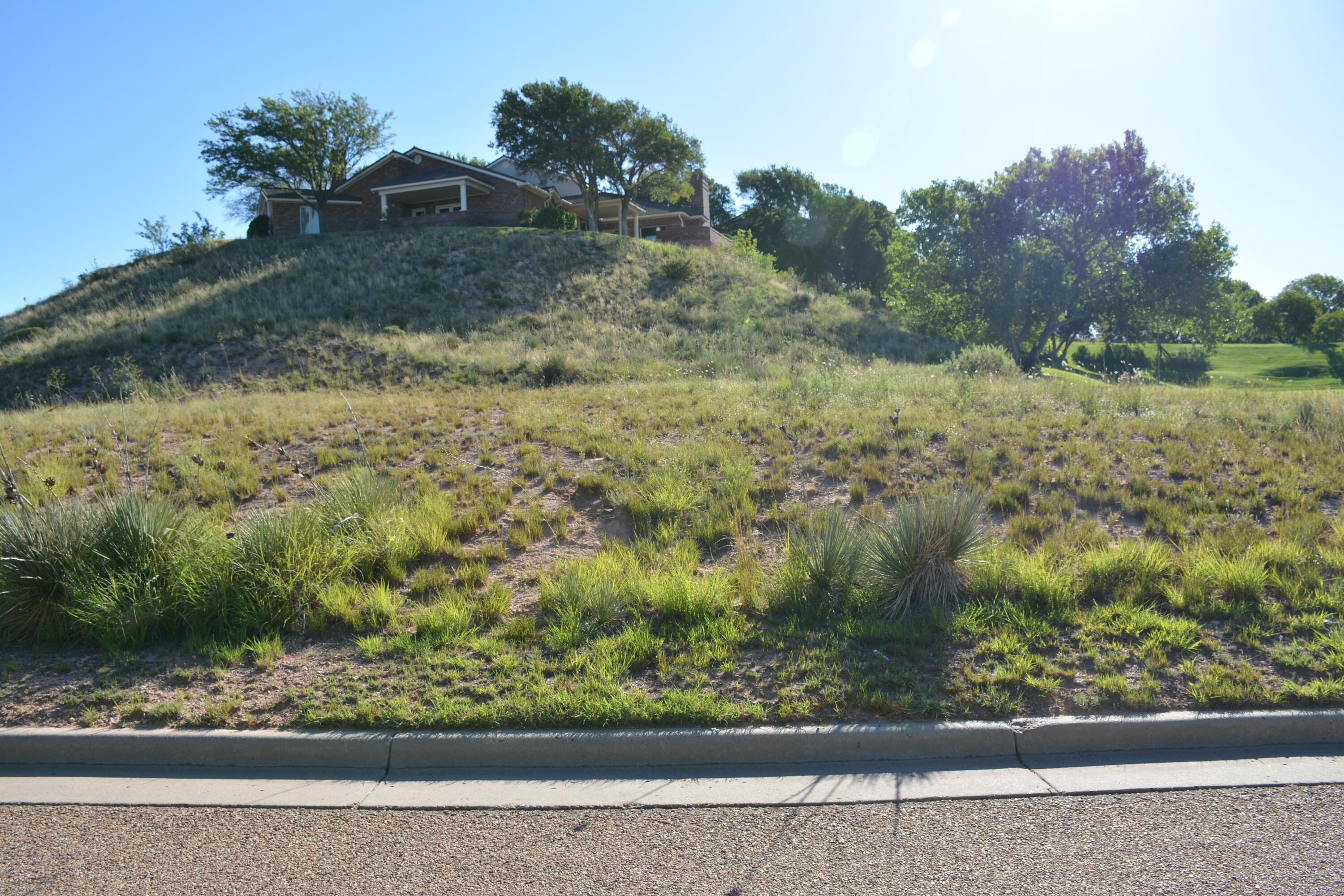0 Citadel Drive Amarillo, TX 79124 - Photo 3 of 8 a view of a yard
