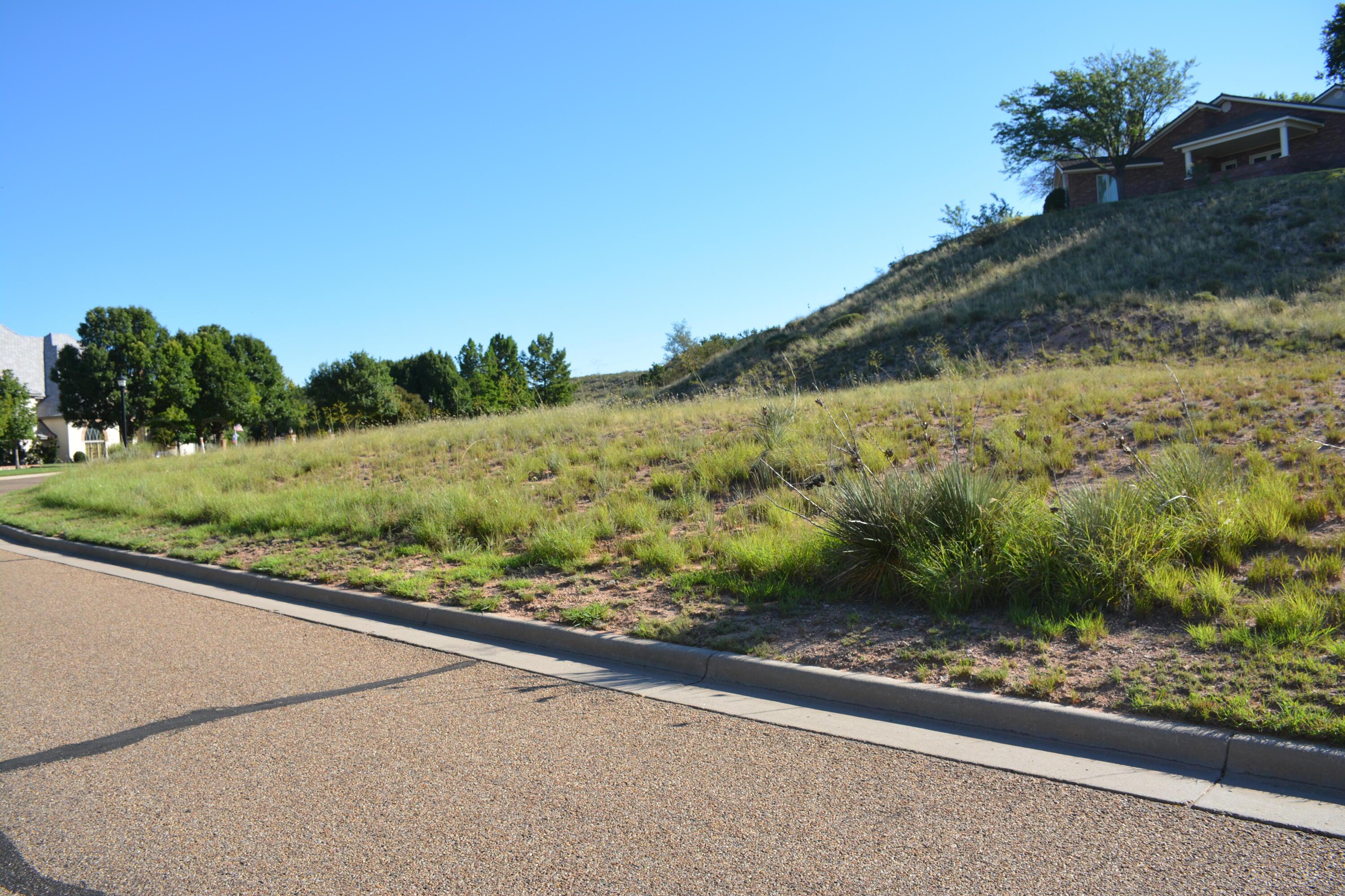0 Citadel Drive Amarillo, TX 79124 - Photo 4 of 8 a view of a yard with potted plants