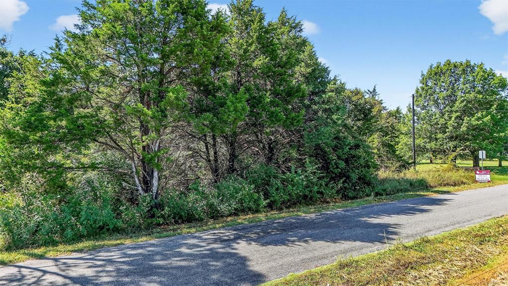 Tbd Old Sadler Road Sadler, TX 76264 - Photo 14 of 26 a view of a street with a yard and large trees