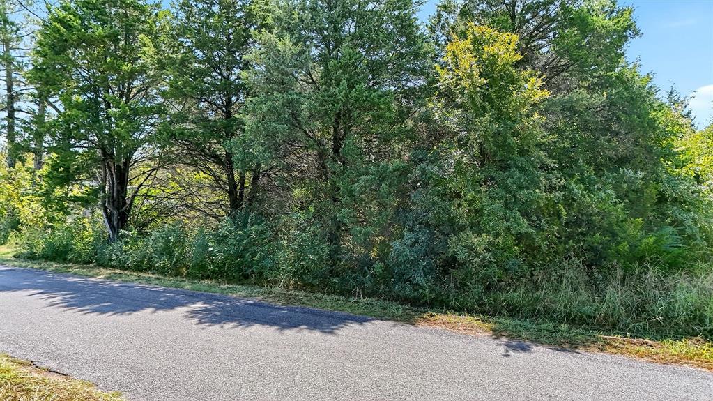 Tbd Old Sadler Road Sadler, TX 76264 - Photo 18 of 26 a view of a road with a trees