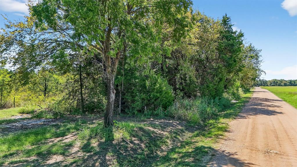 Tbd Old Sadler Road Sadler, TX 76264 - Photo 19 of 26 a view of a park with large trees