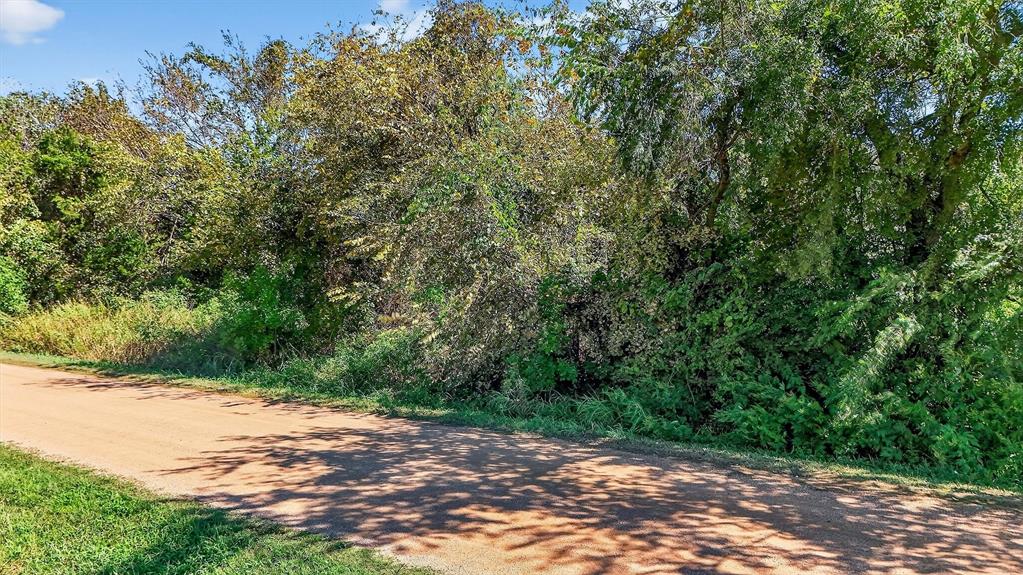 Tbd Old Sadler Road Sadler, TX 76264 - Photo 21 of 26 a view of a yard with plants and trees