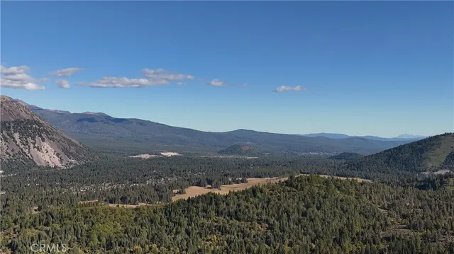 a view of a large yard with lots of green space