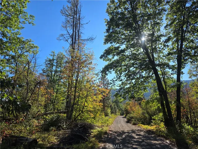 a view of a large yard with lots of green space
