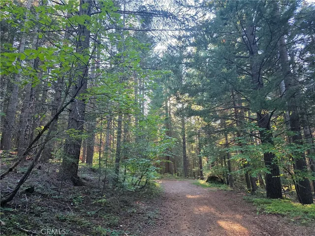 a view of a dry yard