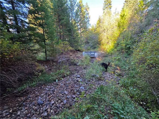 a view of a large yard with lots of green space