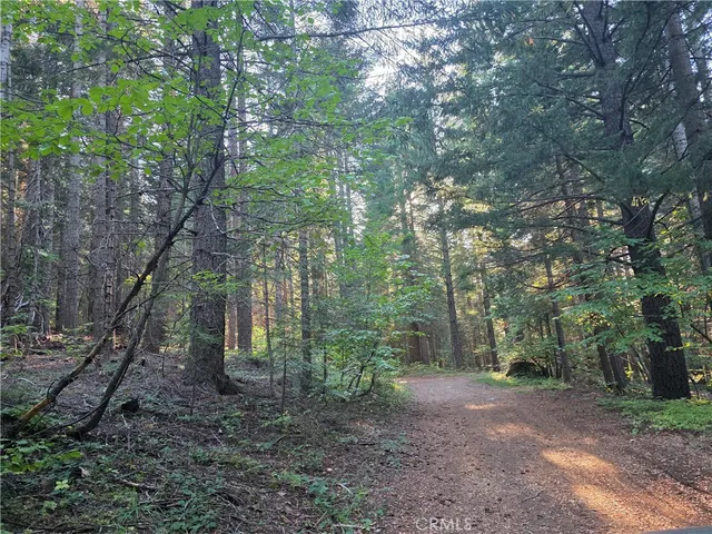 a view of a dry yard with mountains in the background