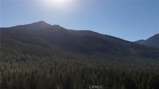 a view of a lush green forest with mountains in the background
