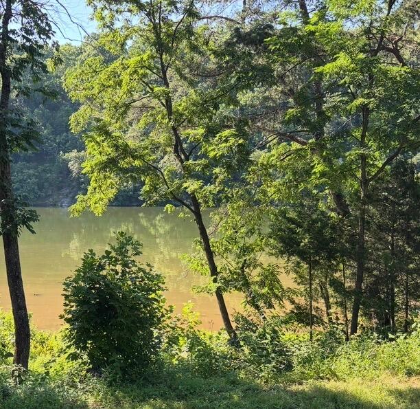 1953 Moorman Road Hardy, VA 24101 - Photo 1 of 10 a view of lake