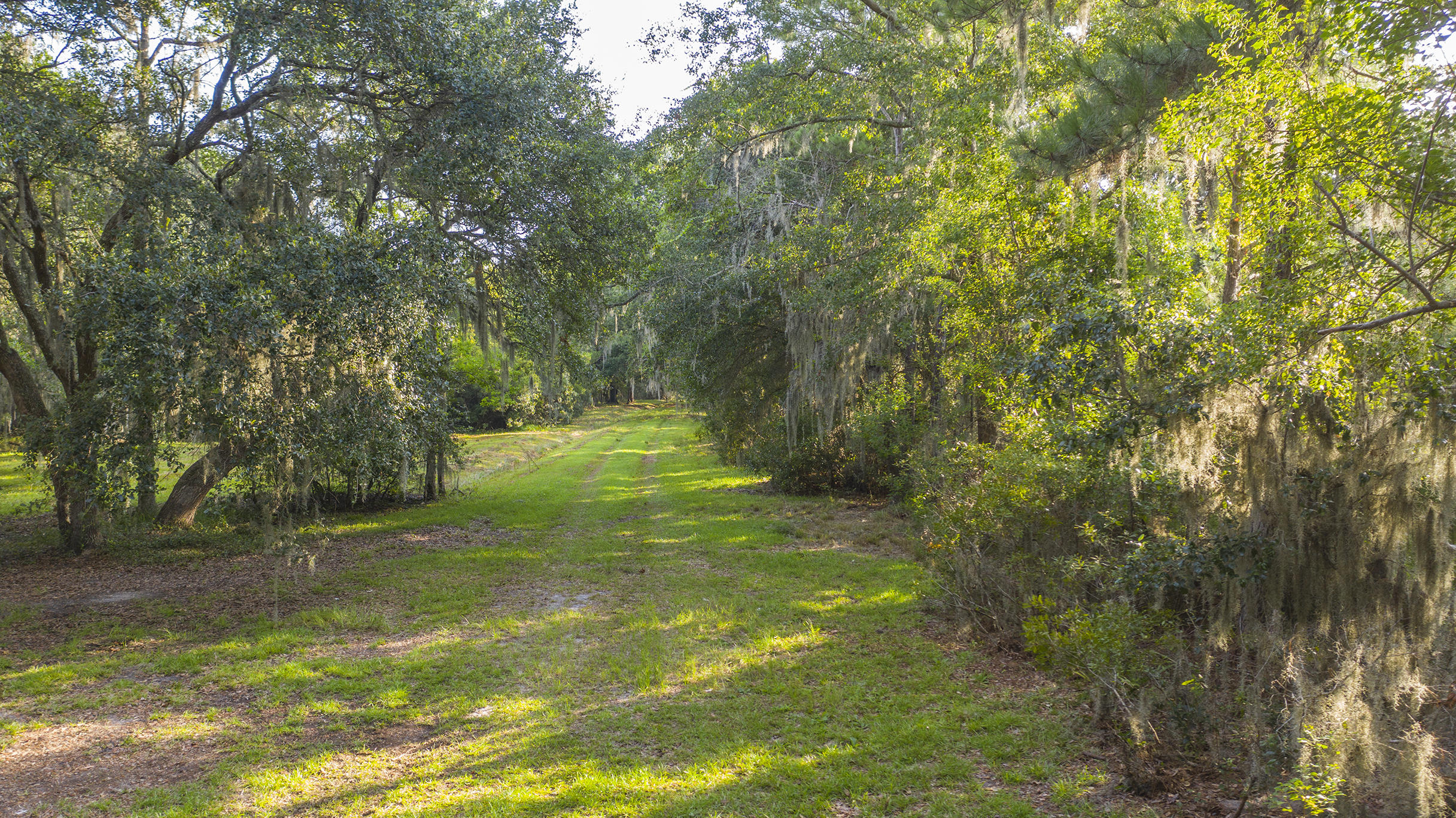 7629 White Point Road Hollywood, SC 29449 - Photo 5 of 24 7629 White Point Rd