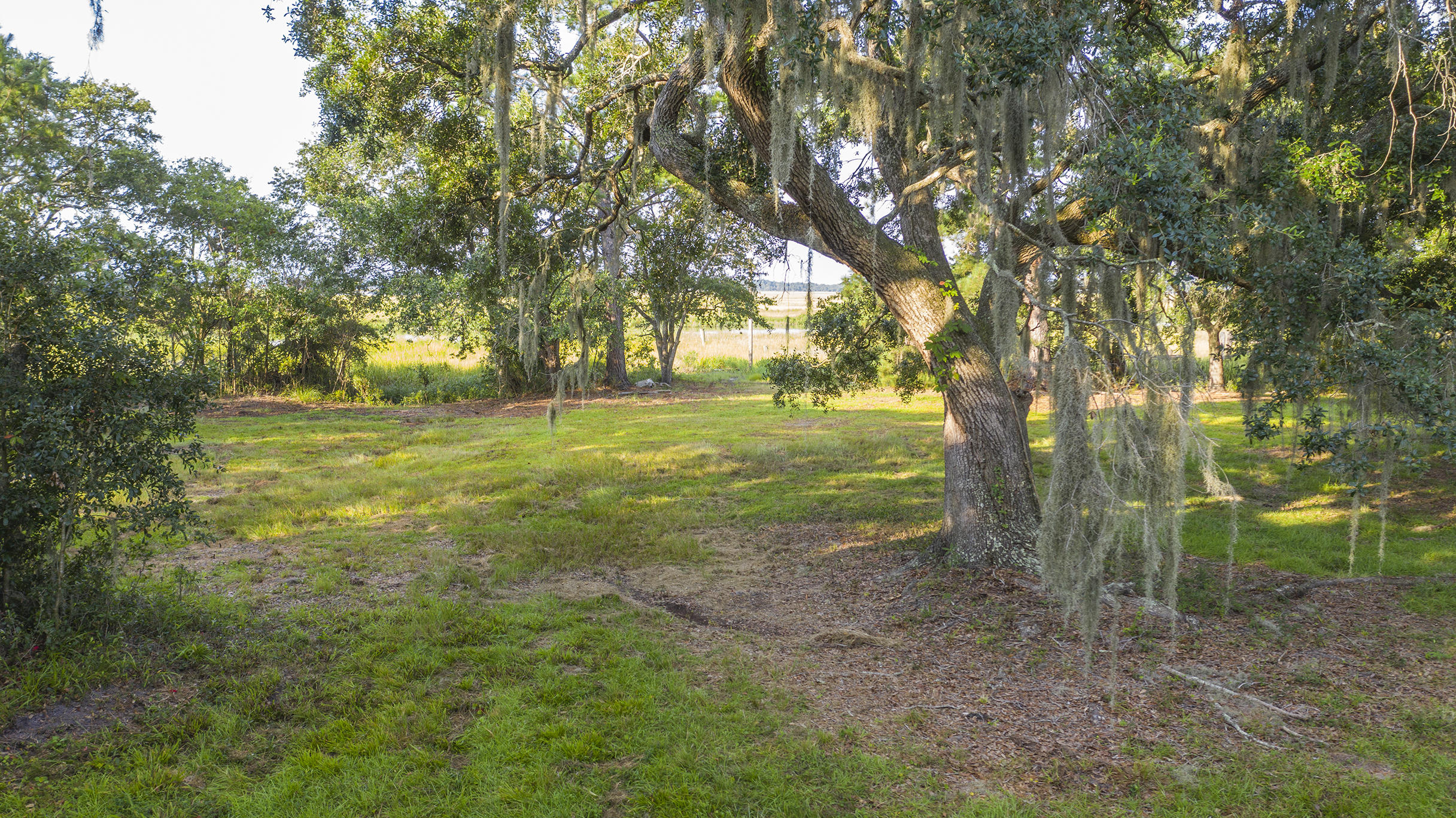 7629 White Point Road Hollywood, SC 29449 - Photo 6 of 24 opening