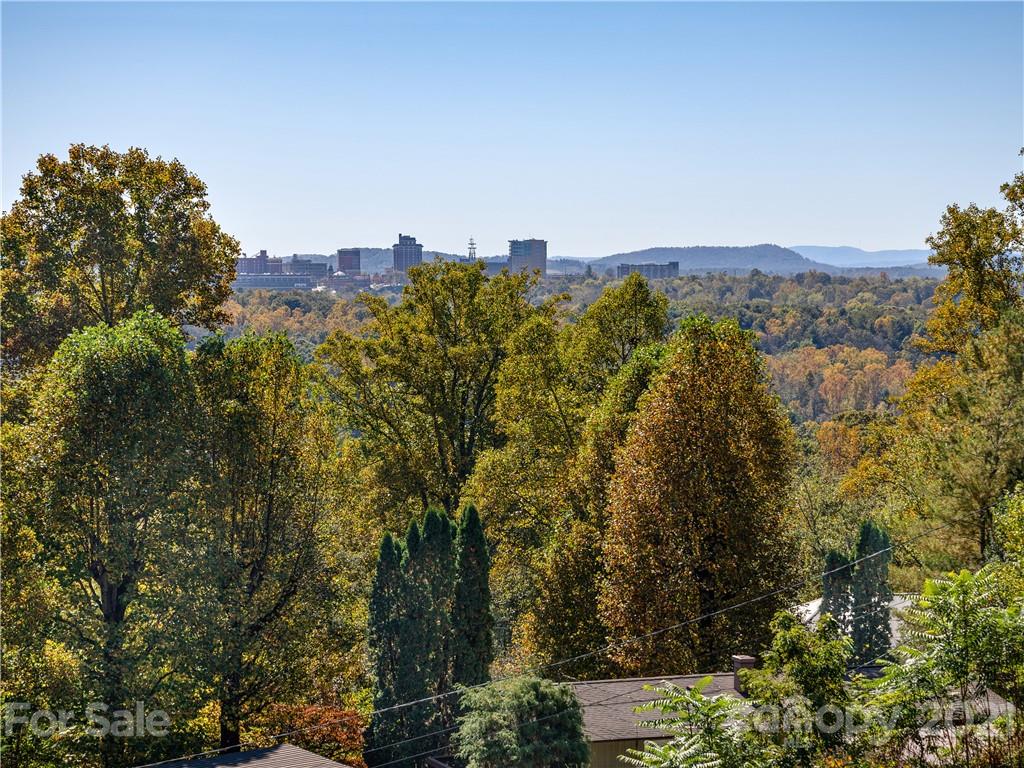 24 Lookout Road Asheville, NC 28804 - Photo 39 of 45 Gallery Image 39
