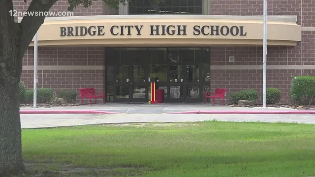 a white and green field with lots of trees in it