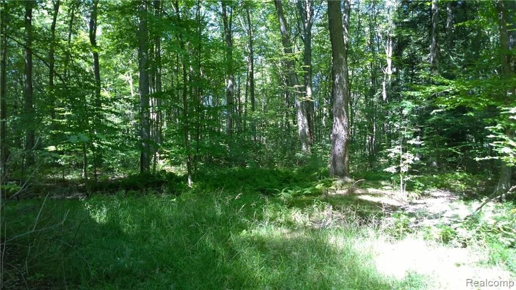 4849 Rabidue Road North Street, MI 48049 - Photo 6 of 26