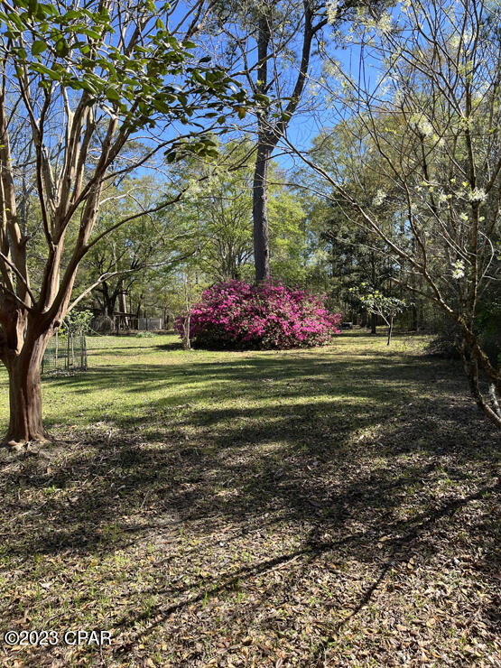 3163 River Road Vernon, FL 32462 - Photo 36 of 48