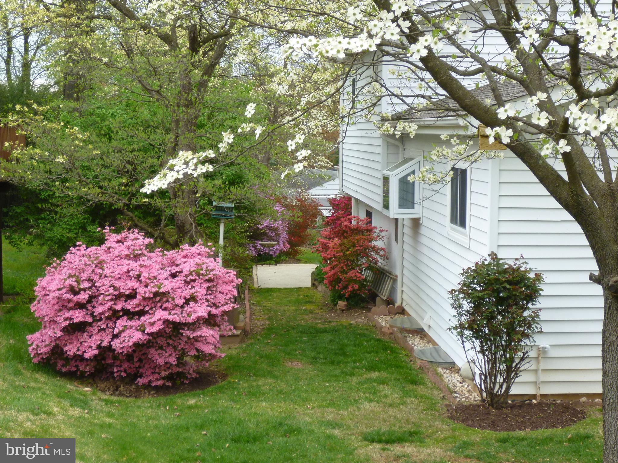 11500 Kenton Drive Silver Spring, MD 20902 - Photo 40 of 45 Gallery Image 40