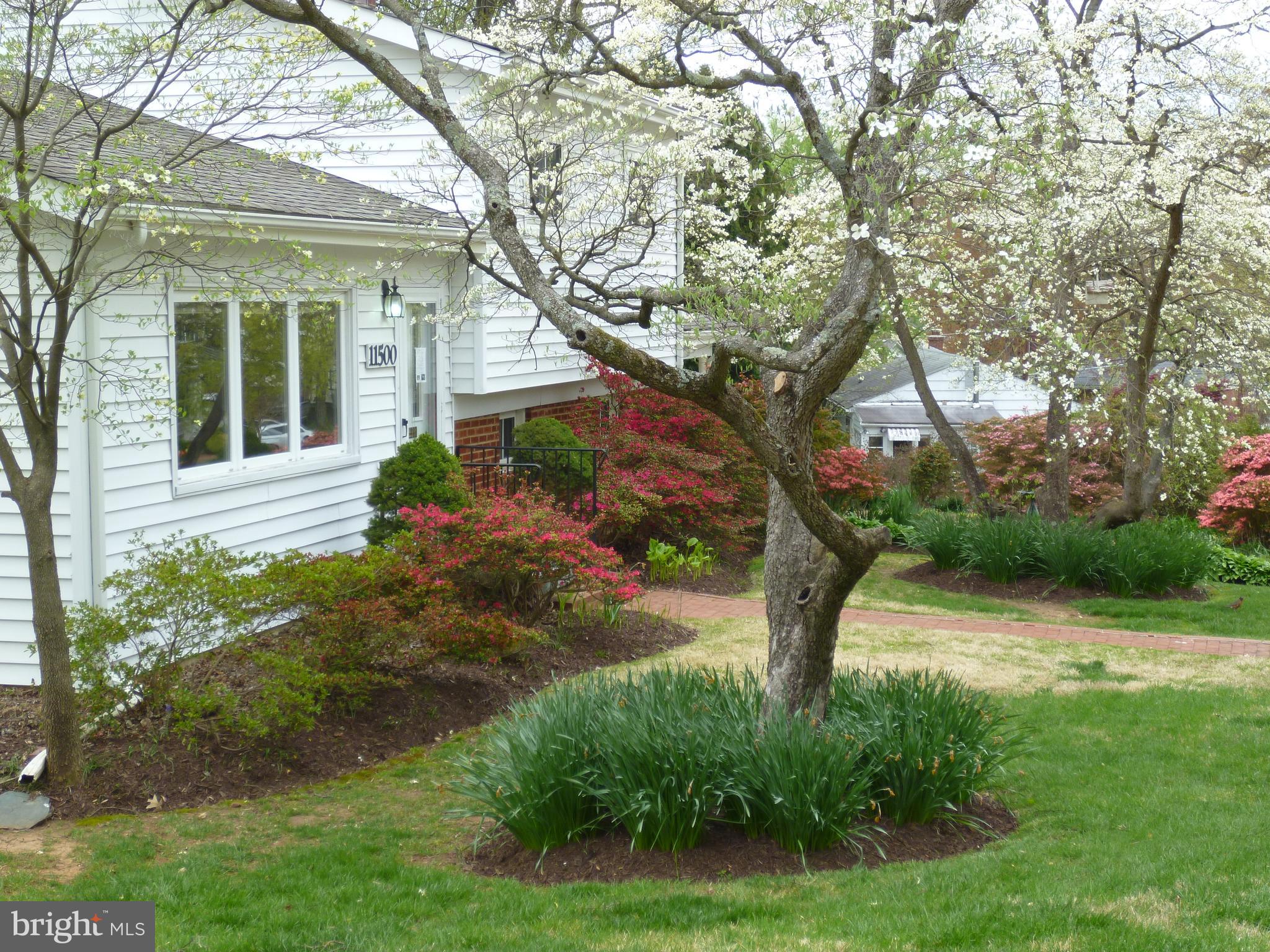 11500 Kenton Drive Silver Spring, MD 20902 - Photo 45 of 45 Gallery Image 45