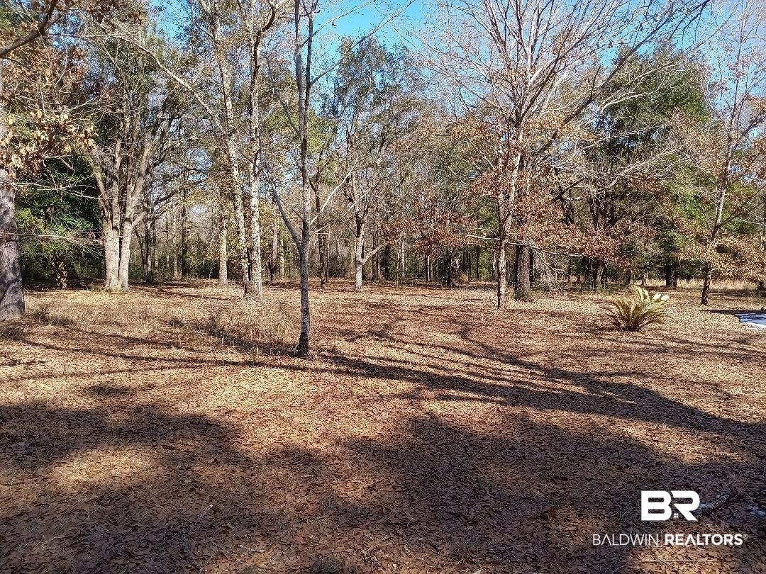 32799 Rustic Bend Robertsdale, AL 36567 - Photo 9 of 27 Gallery Image 9