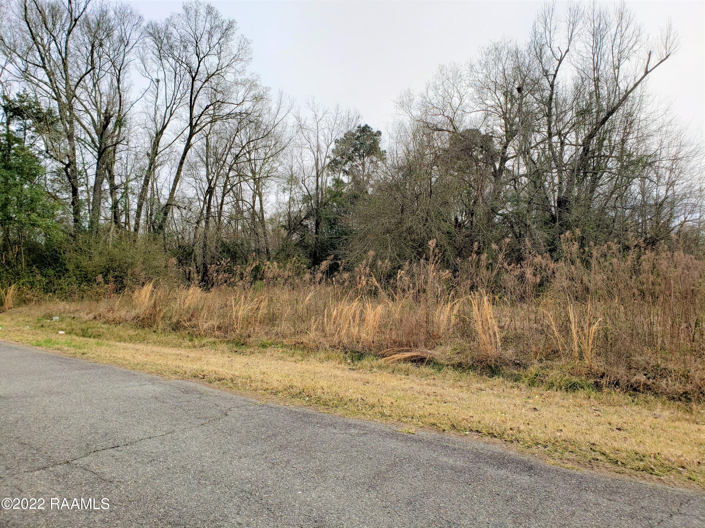 Tbd MacArthur Road Ville Platte, LA 70586 - Photo 5 of 6