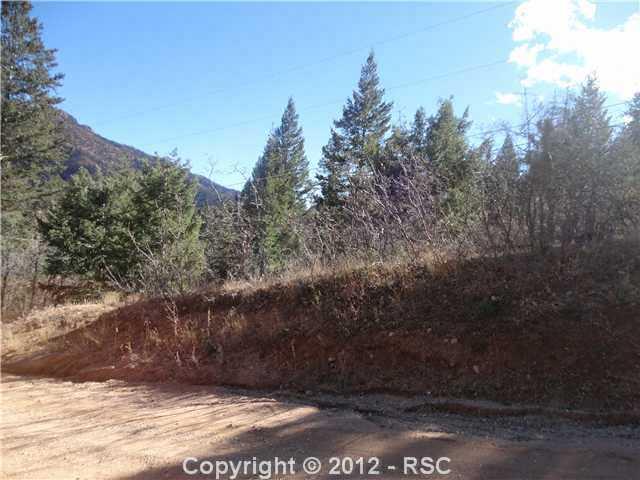 Timpa Road Cascade, CO 80809 - Photo 4 of 6
