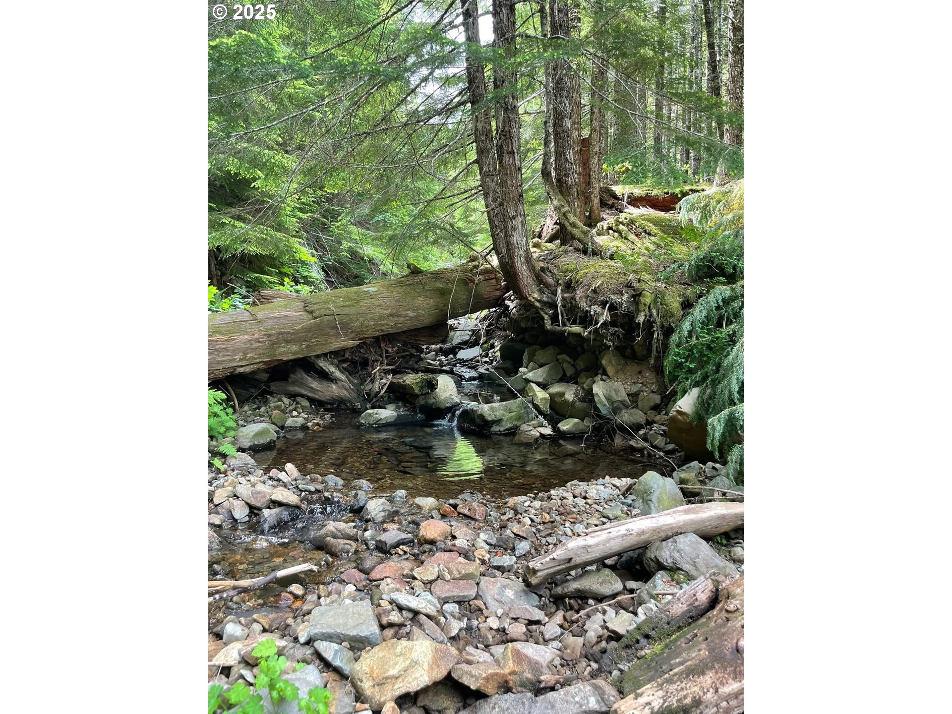 Champion Creek Road Dorena, OR 97434 - Photo 18 of 27