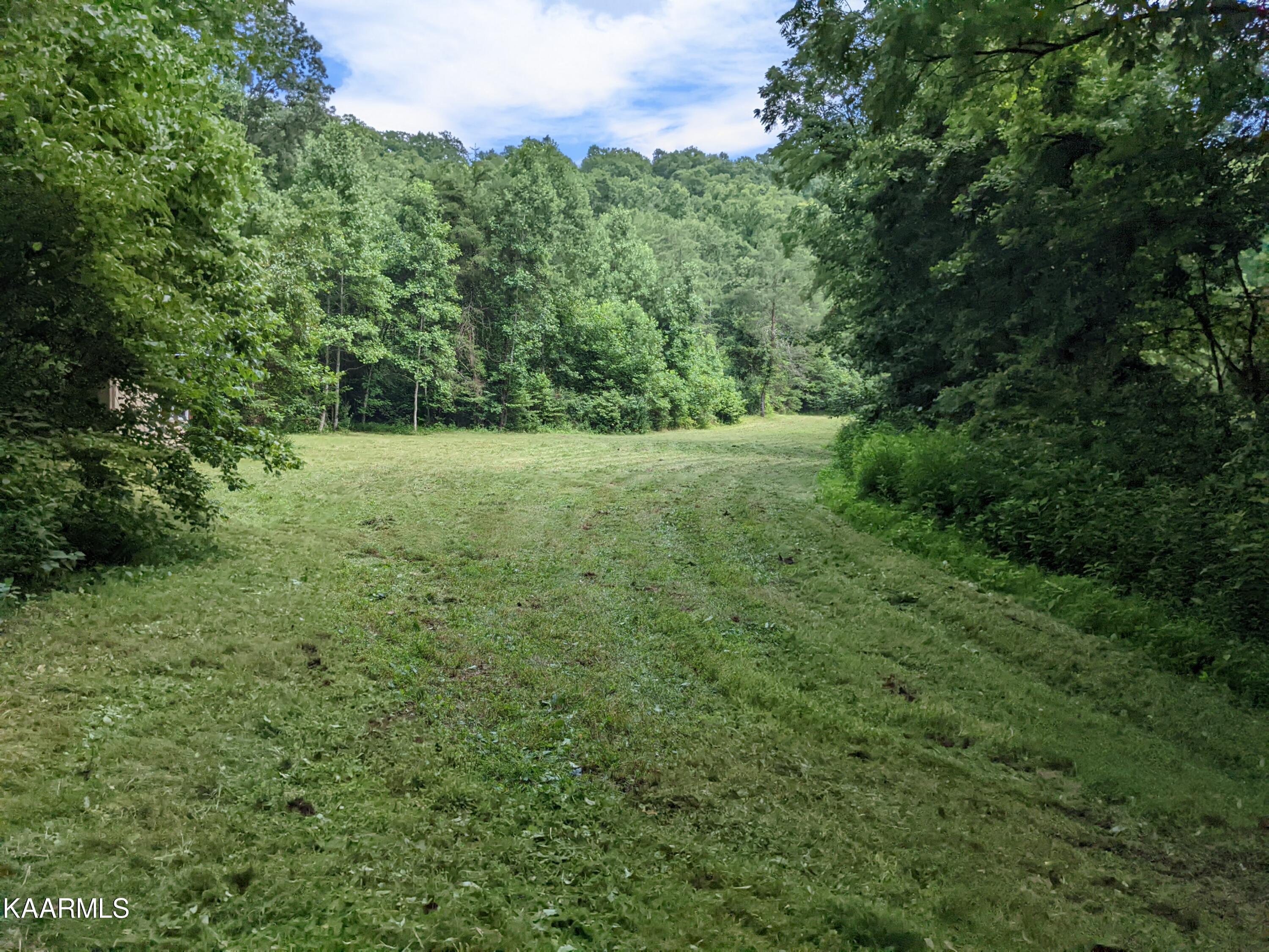 Byrd Road Sneedville, TN 37869 - Photo 7 of 27 Level field2