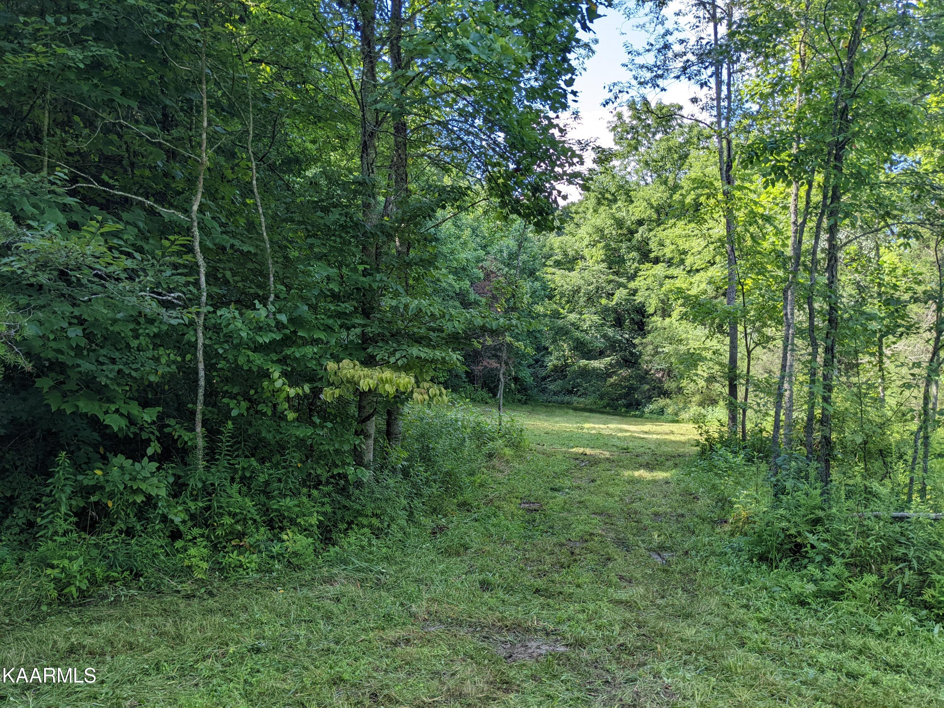 Byrd Road Sneedville, TN 37869 - Photo 9 of 27 PXL_20220730_202106311