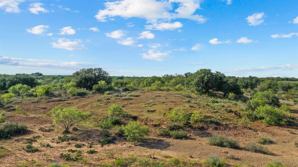 0 Proffitt Road Newcastle, TX 76372 - Photo 7 of 39 View of landscape