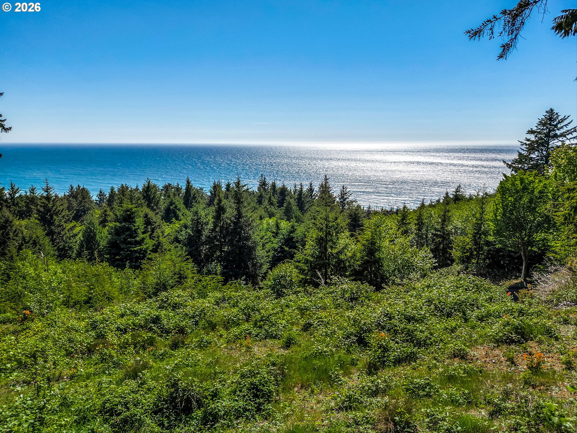 32307 Ruby Lane Cannon Beach, OR 97110 - Photo 31 of 34