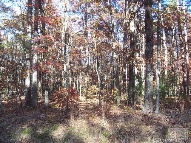 a view of forest