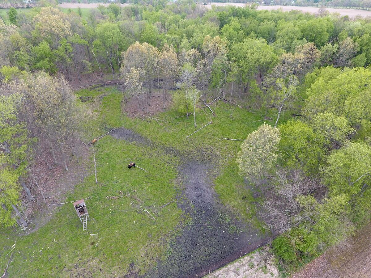 13198 Howard Road Concord, MI 49237 - Photo 6 of 24 DJI_0013