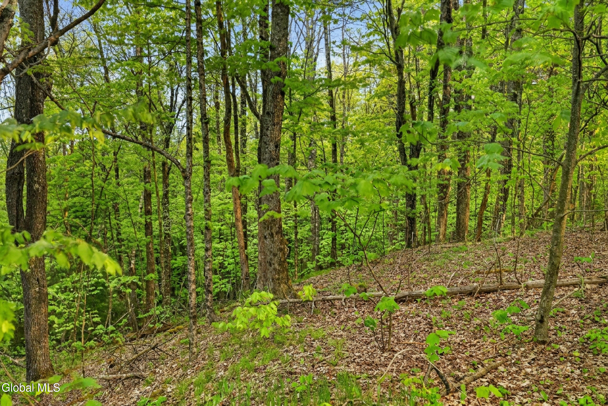 164 Zellner Road Summit, NY 12175 - Photo 89 of 102 164 Zellner Rd - Exterior-Camera-Drone-2