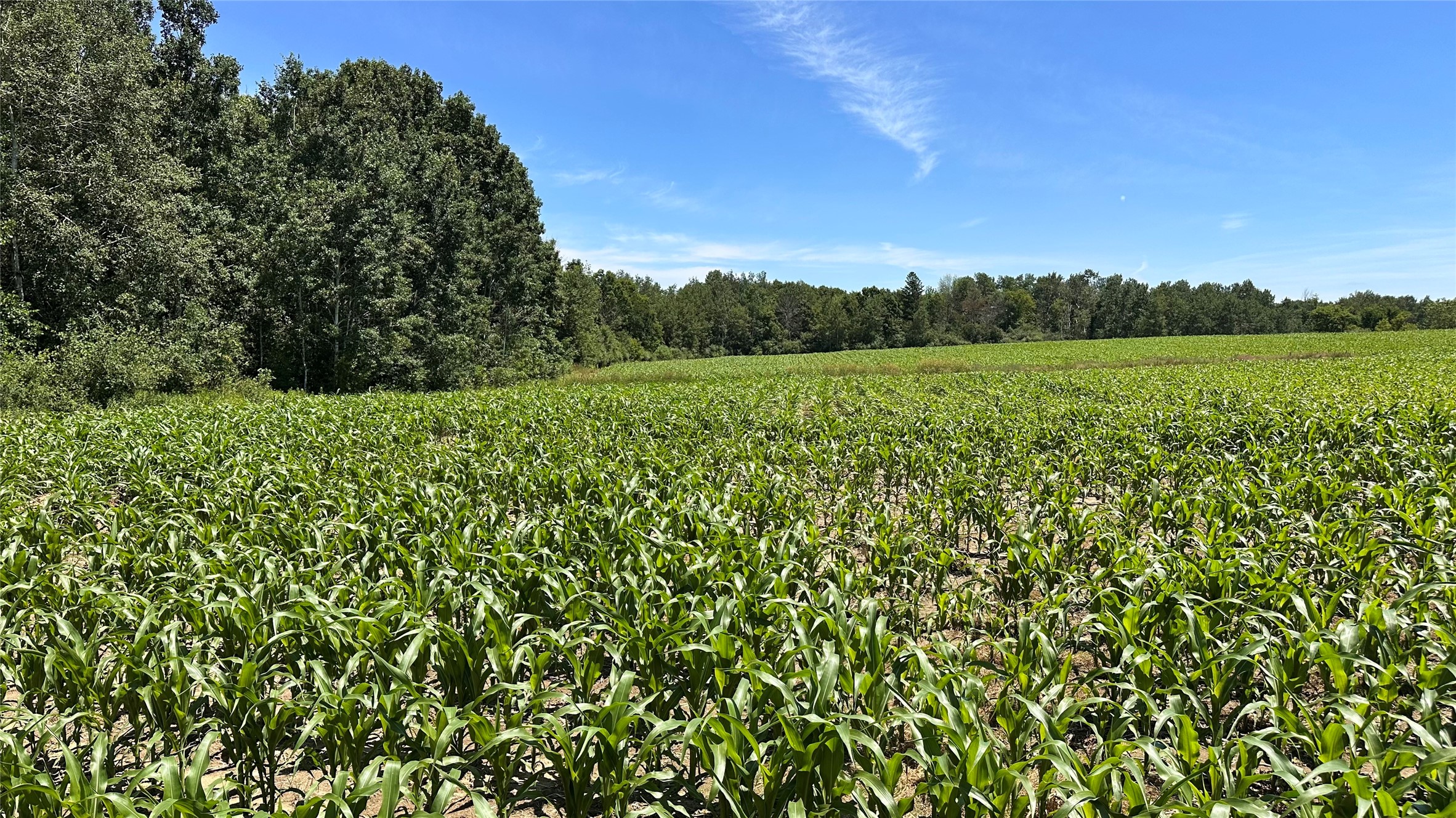 Xx Pierce County Road BB Baldwin, WI 54002 - Photo 29 of 35