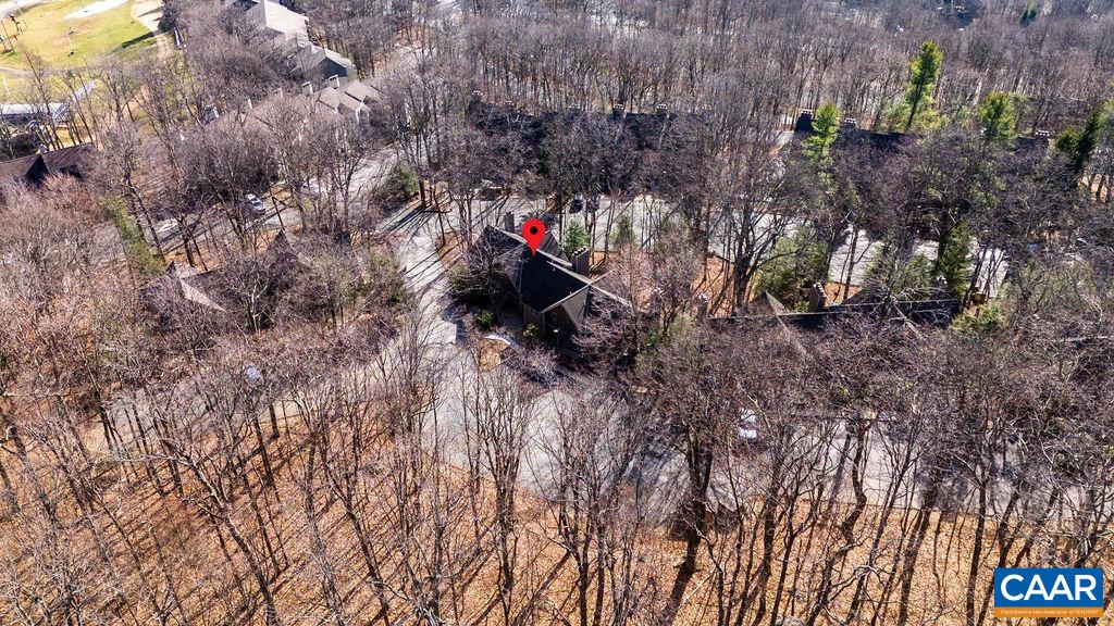 464 3 Ridges Roseland, VA 22967 - Photo 18 of 29 a small garden covered with tall trees