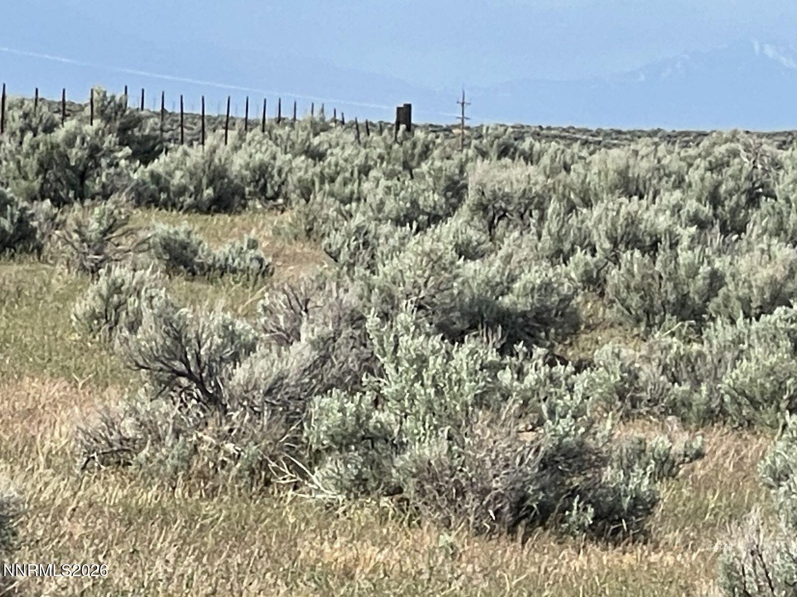 10 Button Point Road Golconda, NV 89414 - Photo 18 of 25 a view of a field with a tree in the background