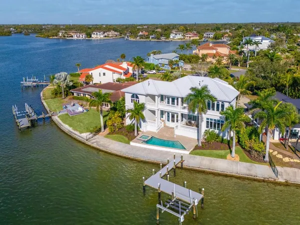 a view of a palm plant that is in front of house
