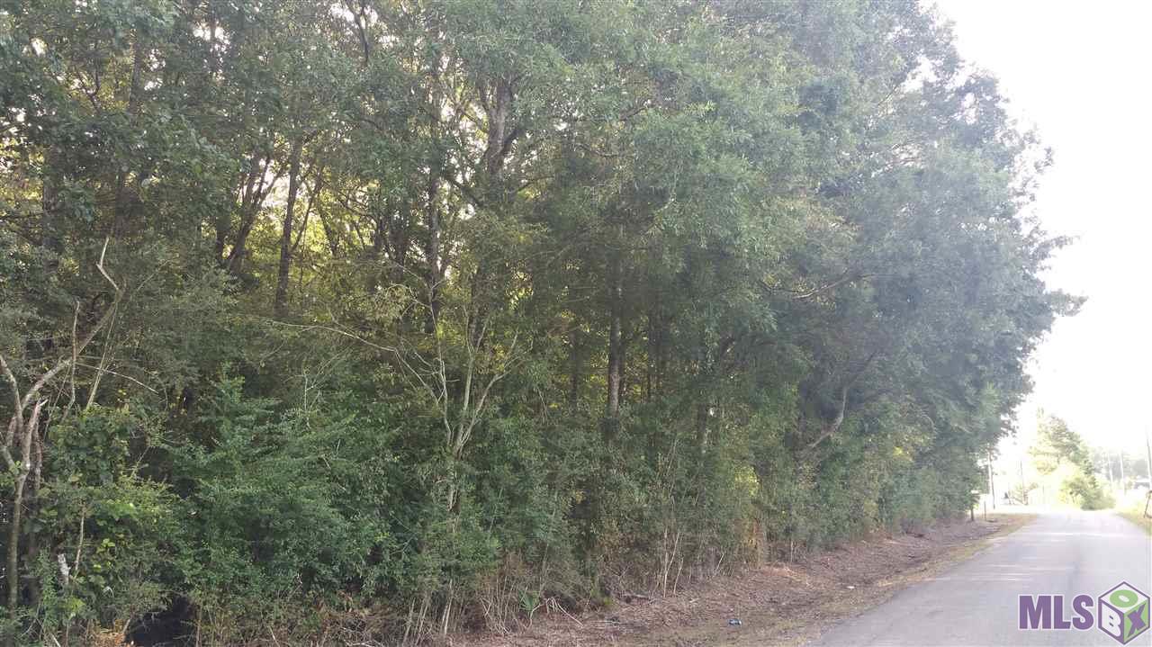 Lot 4 Wirth Evans Road Prairieville, LA 70769 - Photo 1 of 2 Gallery Image 1