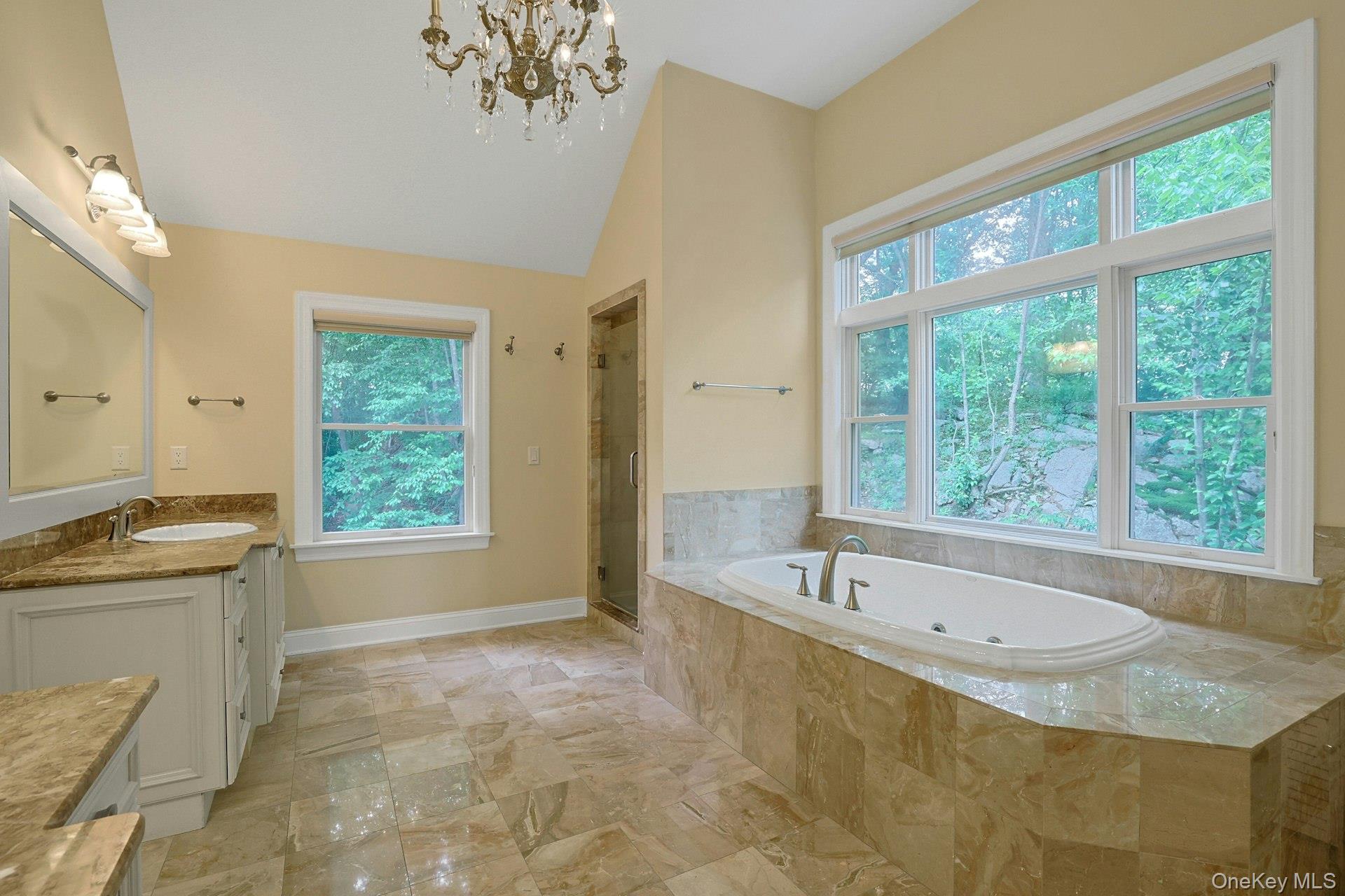 17 Hammond Ridge Road Bedford Corners, NY 10549 - Photo 16 of 36 Primary bathroom with 2 separate vanities, jacuzzi tub and shower.