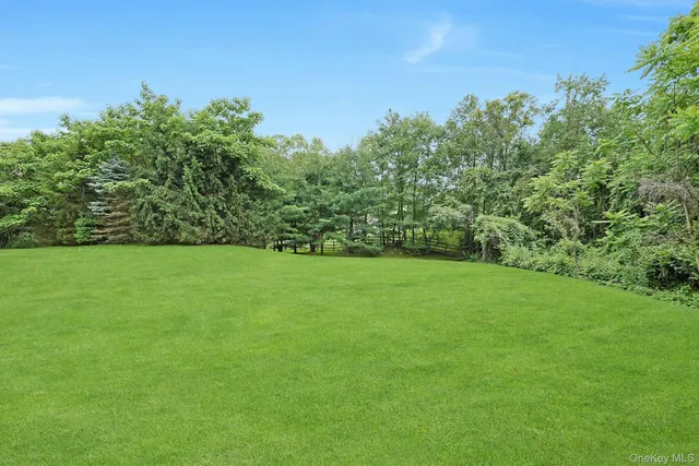 a view of yard with green space