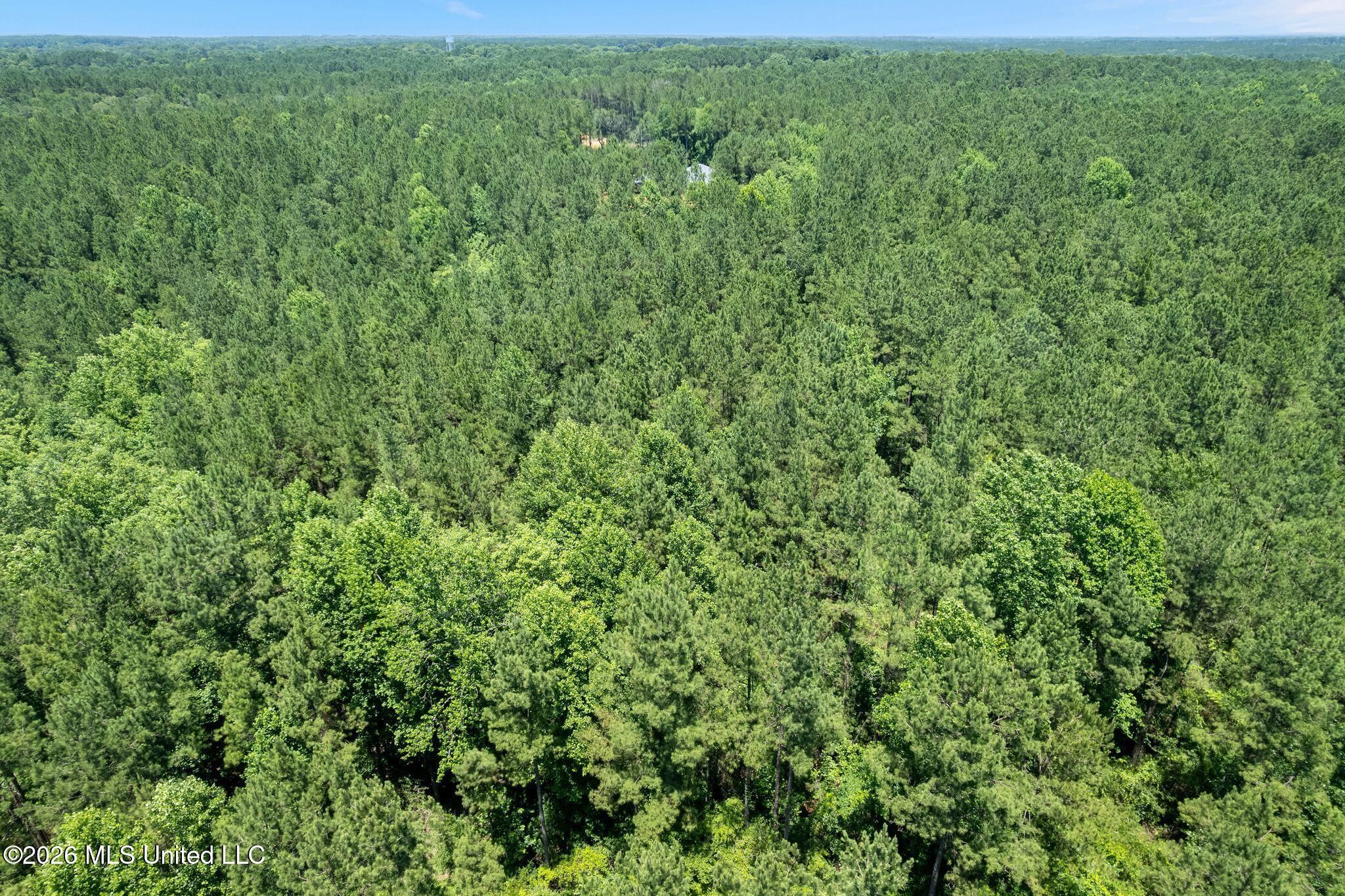 313 Spur Line Road Ellisville, MS 39437 - Photo 34 of 34 313_Spurline-34