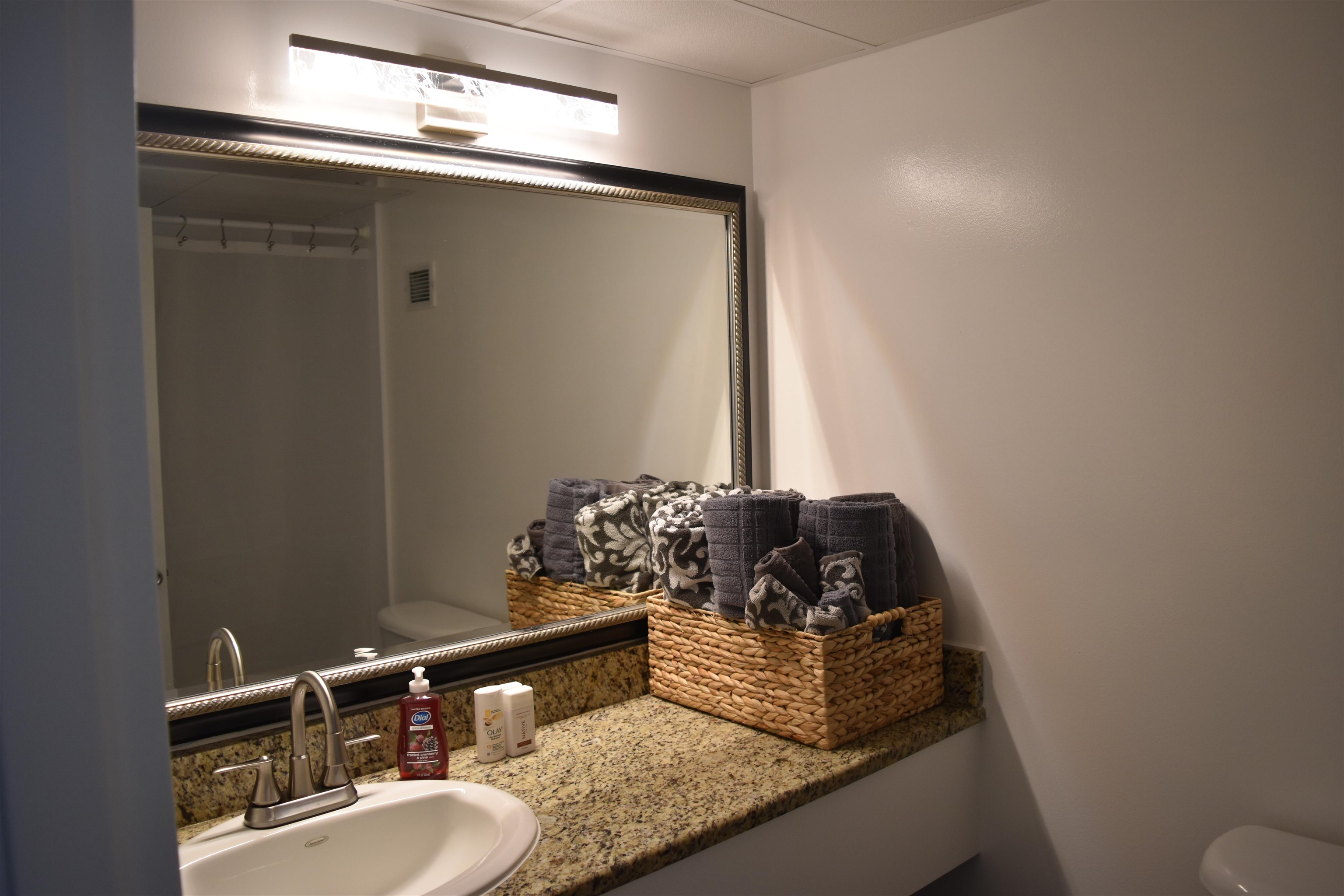 1501 South Ocean Boulevard, Unit 910 Myrtle Beach, SC 29577 - Photo 9 of 31 Half bath with toilet and vanity