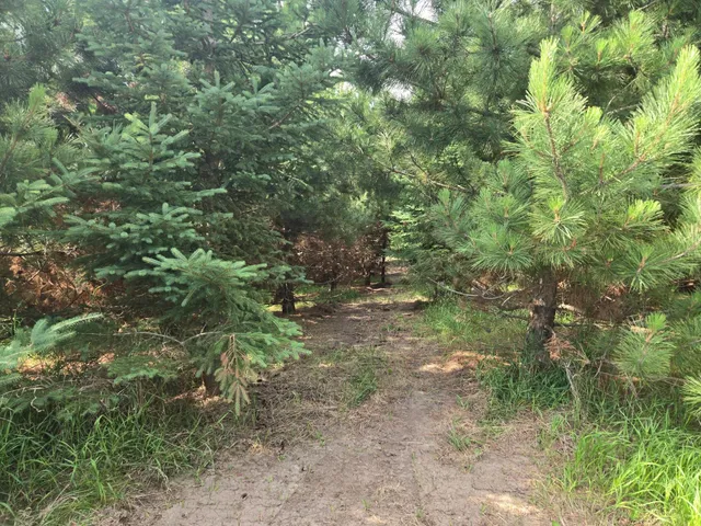 $170,000 | 20332 Co Highway 25, Detroit Lakes, MN 56501