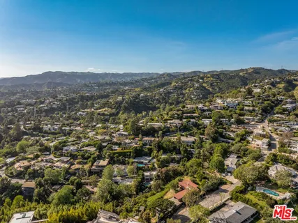 a kitchen with a stove and a potted plant