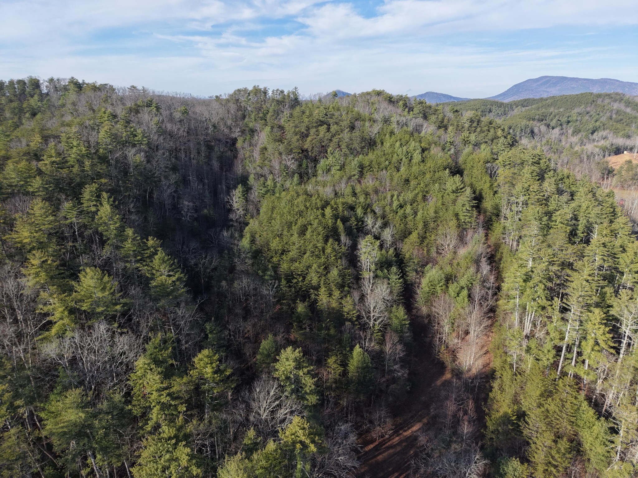 0 Bakers Creek Road Old Fort, TN 37362 - Photo 13 of 15