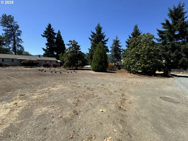 a view of outdoor space yard and trees