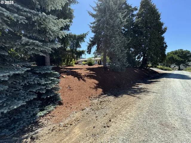 a view of a yard with plants and trees